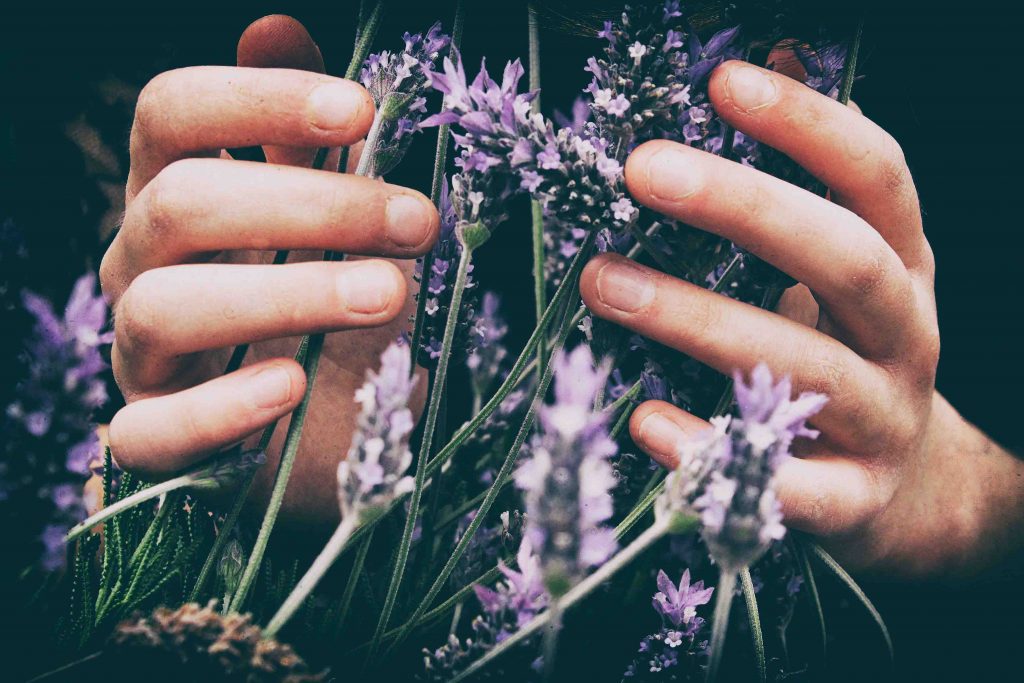 olio essenziale lavanda beautycologa