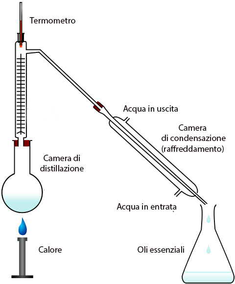 tecnica di distillazione oli essenziali in corrente di vapore