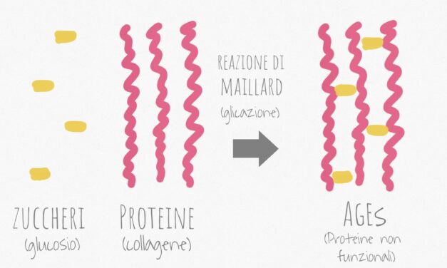 Glicazione e invecchiamento cutaneo: il Peptide Carnosine