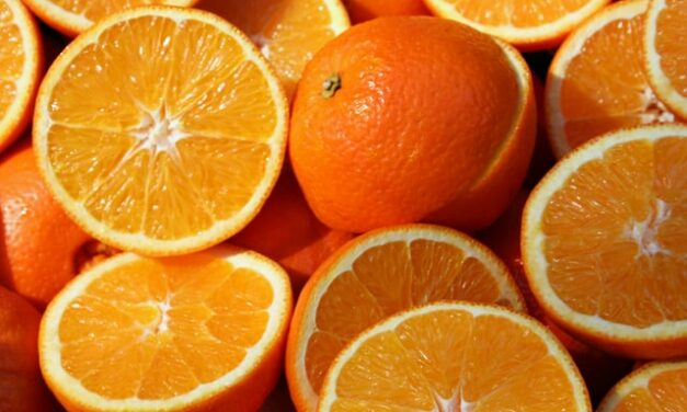 Un derivato stabile della Vitamina C: l’Ascorbyl Tetraisopalmitate